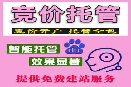 某企业搜索开户返点策略的成效分析